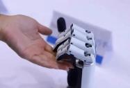 AI 时代大变局：八维教育助力学子抢占先机