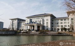 2019年专科什么专业好，学IT可以吗？