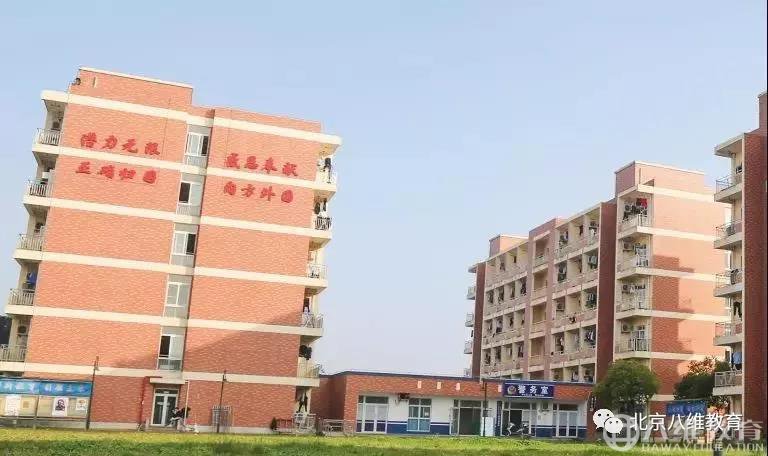 【师者】辗转多地，紧盯就业，关注每一位学生的发展！