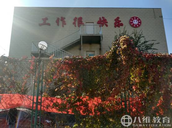 初入职场的你应该秉承哪些原则(上)