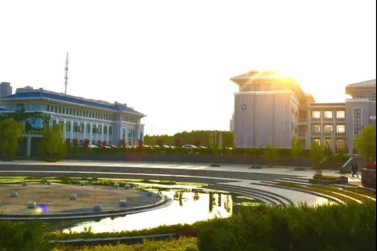 传统大学之外，职教是最好选择~